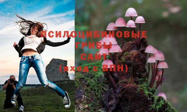 кокс Белоозёрский