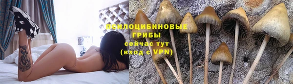 марки nbome Белокуриха